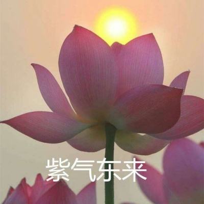 音乐gt赛车游戏下载